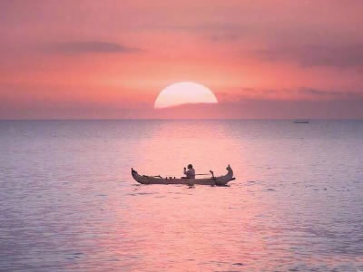 數(shù)學(xué)領(lǐng)域核心概念與資源推薦